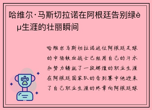 哈维尔·马斯切拉诺在阿根廷告别绿茵生涯的壮丽瞬间 哈维尔·马斯切拉诺在阿根廷告别绿茵生涯的壮丽瞬间